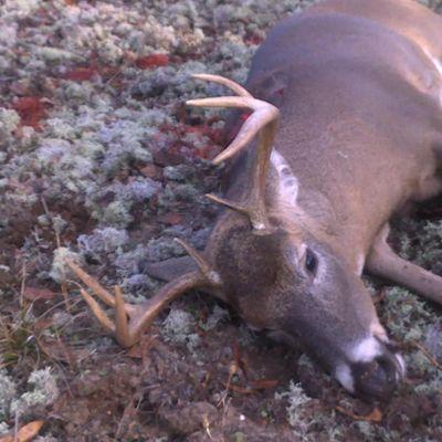 NAsOutdoorsmen's profile picture. 