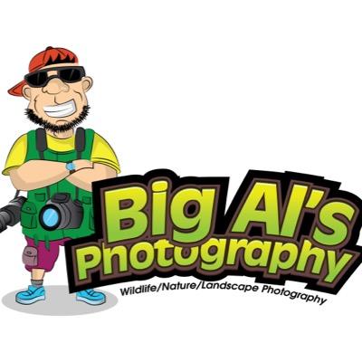 My name is Allan Johnson and I am a wildlife, nature, landscape photographer based out of Willingboro, NJ. Contact me at: bigal@bigalsphotography.com