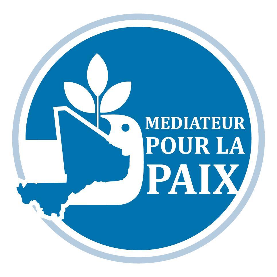 Le projet Médiateurs pour la Paix est une initiative du Conseil National de la Jeunesse du Mali pour combattre l’extrémisme violent.