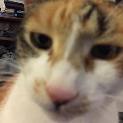 harleylvr24's profile picture. 