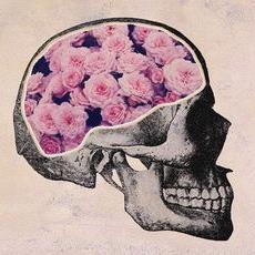 Living life, one pill at a time