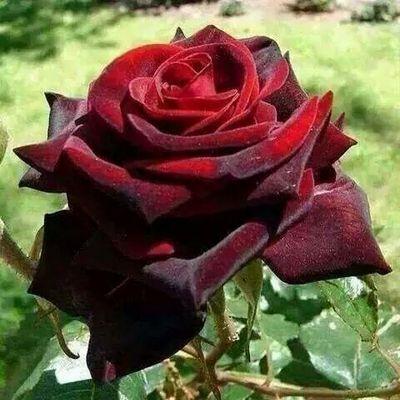 أستغفرك اللهم واتوب إليك