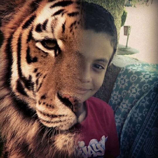 ziadfawzy123's profile picture. 