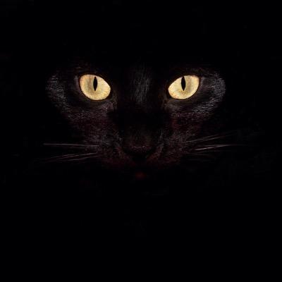 Silviarm3 Profile Picture