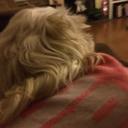 Amanda Pagano - @AmandaPagano2 - Twitter