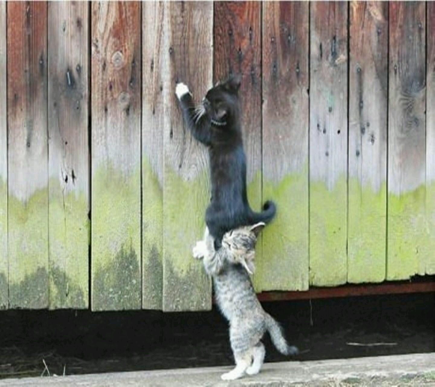 APuericultrice's profile picture. 