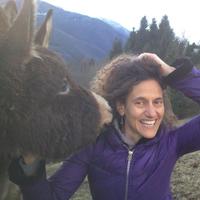 Daniela Carosio (@danielacarosio) 's Twitter Profile