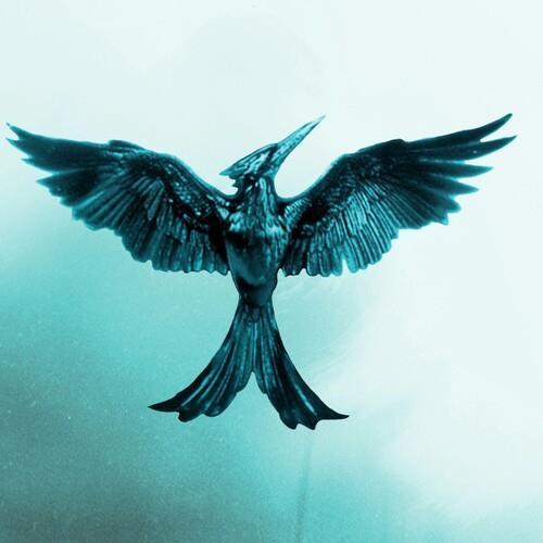 romanvazquez12's profile picture. 