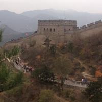 shannon hickey (@shannydaqueen) 's Twitter Profile