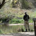  Alan Champion - @straightman6 - Twitter