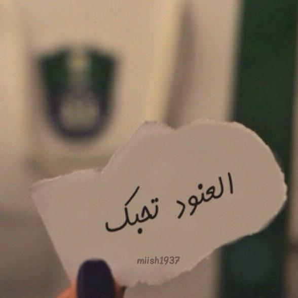 alahli3367 Profile Picture