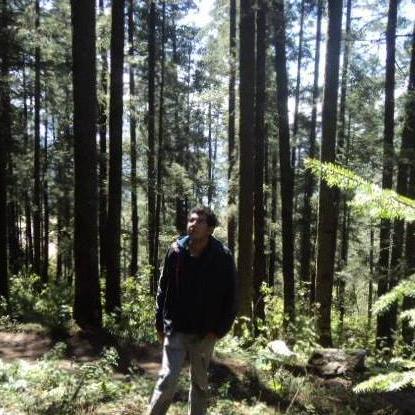 carlosreyva Profile Picture