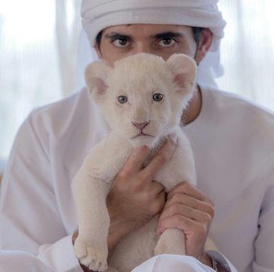في قلب ابي ‏