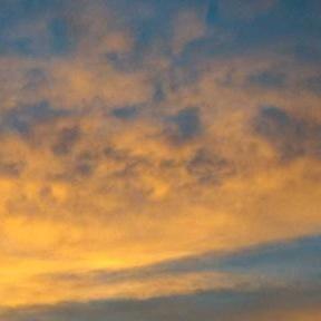 EdgarNkb's profile picture. 