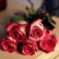 rn_alharbi (@rn__alharbi) 's Twitter Profile