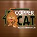 Copper Cat Roofing (@coppercatroof) Twitter profile photo