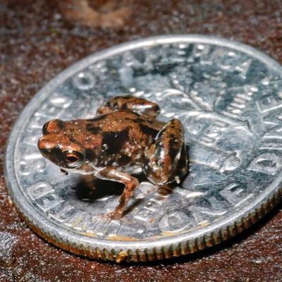 itstopofthehour's profile picture. Blowing you away with some wild facts on the top of every hour, or some hours