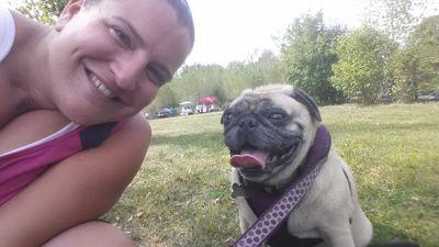 Professional Dog Walker and Groomer