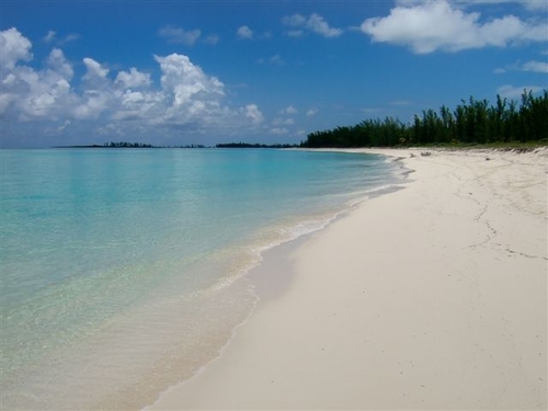 Sarah Ann Showell Profile