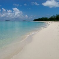 Sarah Ann Showell (@greenturtleclub) 's Twitter Profile