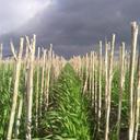 Ben Cordes - @bennycordes87 - Twitter