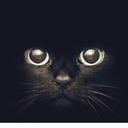 مجهول (@0544353322) Twitter