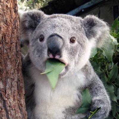 ilconvm20's profile picture. 