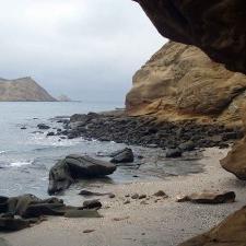 Stiosdelecuador's profile picture. 