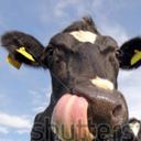 Hunter Hilliard - @HunterHilliard3 - Twitter