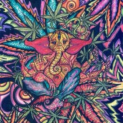 Psychadelics make the world go round✈️