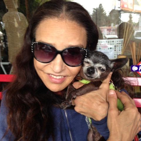 planetheart101's profile picture. 