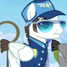 Proud and loyal officer of the legendary Wonderbolts, aid to Captain @mlp_Spitfyre at the illustrious Wonderbolt Academy.