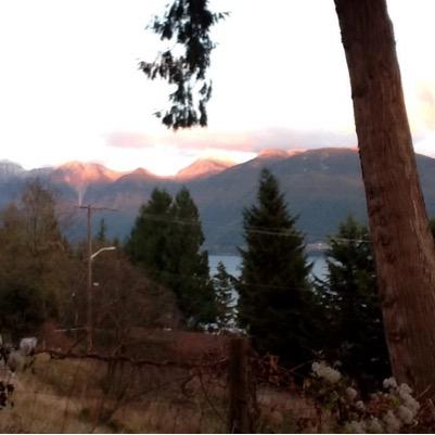 nonoicita's profile picture. 