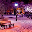 Saba Waheed - @waheed_saba - Twitter