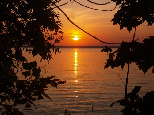 donstegman's profile picture. Visionary IT Leader