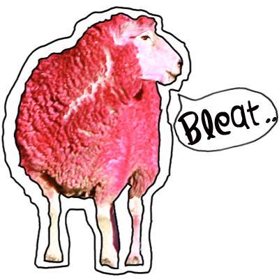 I'm Bleat; a #sheep with a conscience trying to find the greenest grass. Living a daily contradiction as an individualist, alas still a #follower