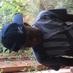 Thabo (@well_lex) Twitter profile photo