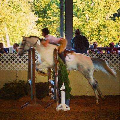BrookeLoren44's profile picture. Texas. Equestrian. I can do all things through christ who strengthens me. Philippians 4:13 ✨