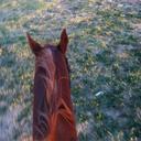 Mikaela Mae Boyd - @BoydMaeMikaela - Twitter