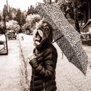 Tamar Collins - @1meow2many - Twitter