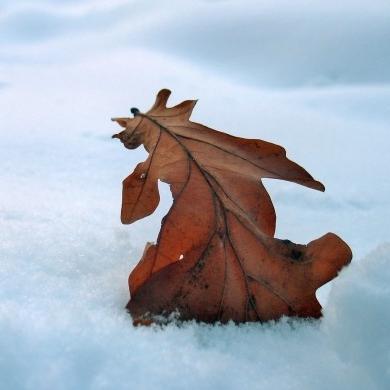 Paytiinka's profile picture. Путь - это величина не имеющая направления.