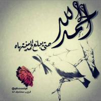 بدرية البلوشية (@ppqvkdntvank49h) 's Twitter Profile
