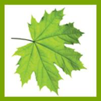 LEFA Print (@lefaprint) 's Twitter Profile