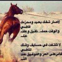 محمد السليمي (@gingryon) 's Twitter Profile