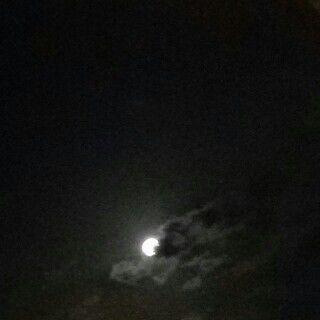 wemm_18's profile picture. ‏‏فلو مي! فلو باااك                 Kik;wema_18
Insta:wem_xa