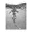 Macaferbas's profile image