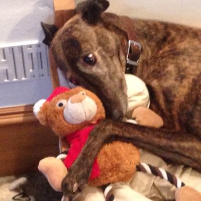 l_vyse's profile picture. Getting fed up of being asked for my birth date by Twitter