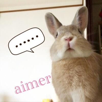 うさぎのaimer Na Twitteru うさ飼いあるある 飼いうさの口まわりが好き Y字型の鼻のひくひく ずっと見てられる 鼻でツンツン押されると嬉しい 口元のほんのりピンク萌え ほっぺたや口周りにかけてをモミモミされるのが好き するのも好き Http T Co Fcsptjepgv うさぎのaimer Na Twitteru うさ飼いあるある 飼いうさの口まわりが好き Y字型の鼻のひくひく ずっと見てられる 鼻でツンツン押されると嬉しい 口元のほんのりピンク萌え ほっぺたや口周りにかけてをモミモミされるのが好き するのも好き Http T Co Fcsptjepgv