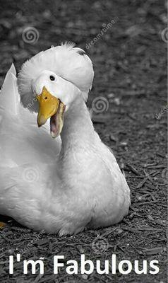 I'm just the greatest , fabulous , awesome Duck ever ... But with Swagzzz