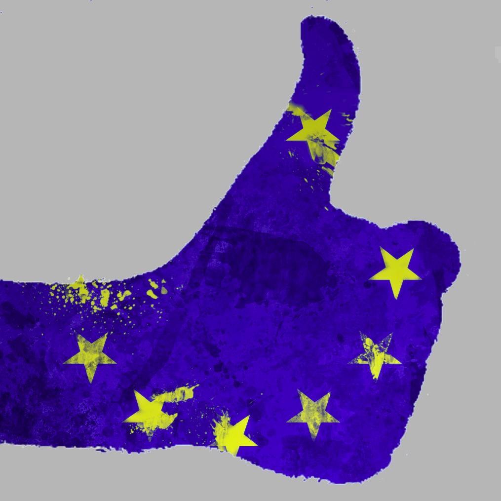 JEuropeens_Dij's profile picture. Groupe des Jeunes Européens à Dijon. Si vous voulez en faire partie, contactez nous :)